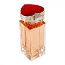 yves saint laurent vice versa női parfüm edt 100ml